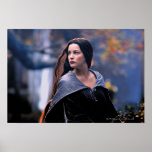ARWEN™-terugblik Poster