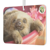 Arya, de tweevingerige luiaard luchtverfrisser (Links)