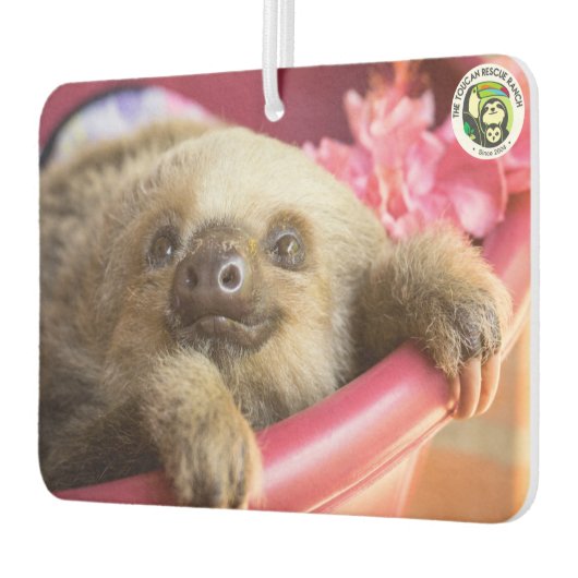 Arya, de tweevingerige luiaard luchtverfrisser (Links)