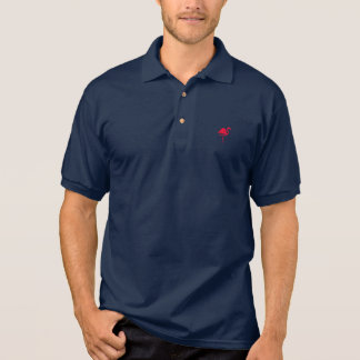 Aryntin Polo