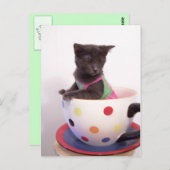 arys kitten briefkaart (Voorkant / Achterkant)