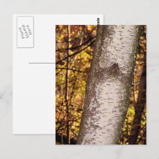 as briefkaart (Voorkant / Achterkant)