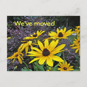 AS- Yellow Daisy Moving Notice Briefkaarten
