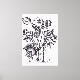 ASA CREATON CANVAS AFDRUK