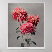 Asa-dsuma-bune door Kazumasa Ogawa (1896) Poster (Voorkant)