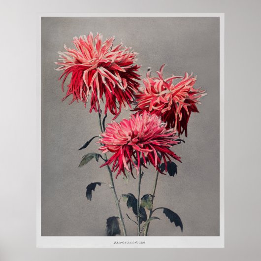 Asa-dsuma-bune door Kazumasa Ogawa (1896) Poster (Voorkant)