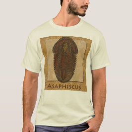 Asaphiscus Fossil Trilobite T-shirt
