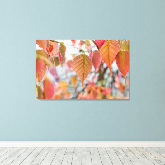 Asathu Plant Baby Leaves Load buddha Canvas Afdruk (Insitu (Houten vloer))