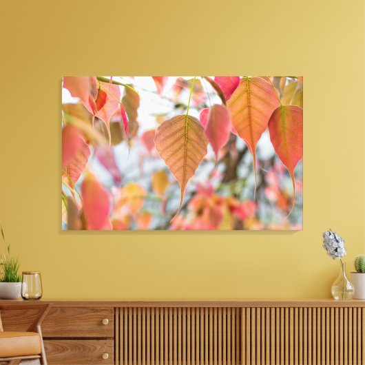 Asathu Plant Baby Leaves Load buddha Canvas Afdruk (Insitu (Woonkamer))