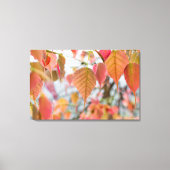 Asathu Plant Baby Leaves Load buddha Canvas Afdruk (Voorkant)