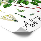 Asboom  botanische illustratie poster (Hoek)