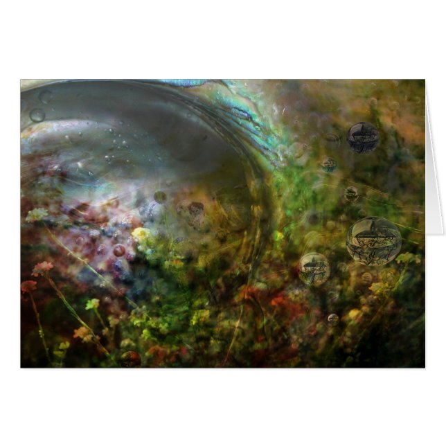 Ascension (Voorkant Horizontaal)