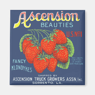 Ascension Beauties aardbeien Magnet