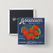 Ascension Beauties Fancy Klondykes aardbeien Vierkante Button 5,1 Cm (Voorkant /achterkant)
