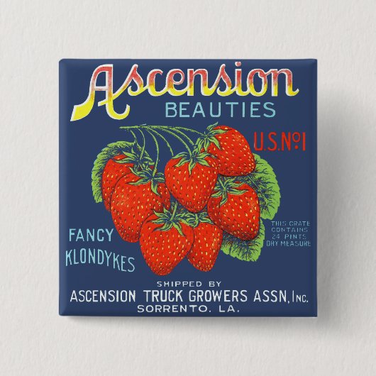 Ascension Beauties Fancy Klondykes aardbeien Vierkante Button 5,1 Cm (Voorkant)