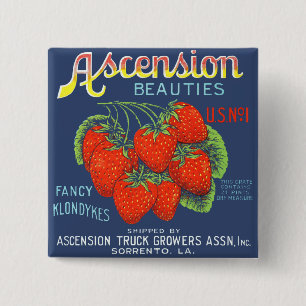 Ascension Beauties Fancy Klondykes aardbeien Vierkante Button 5,1 Cm