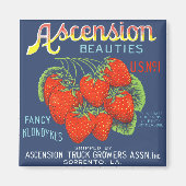 Ascension Beauties Strawberries Magnet (Voorkant)
