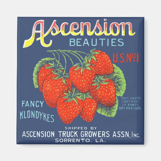 Ascension Beauties Strawberries Magnet (Voorkant)