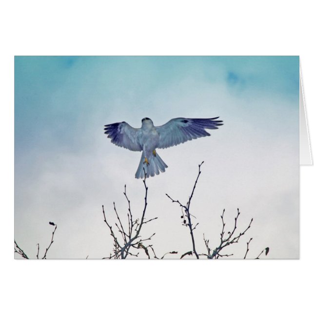 Ascent (Voorkant Horizontaal)