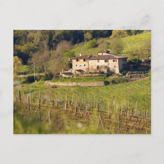 Aschuito, een werkzaam boerderij dat gasten accept briefkaart (Voorkant)