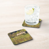 Aschuito, een werkzaam boerderij dat gasten accept drankjes onderzetter (Rechterzijde)