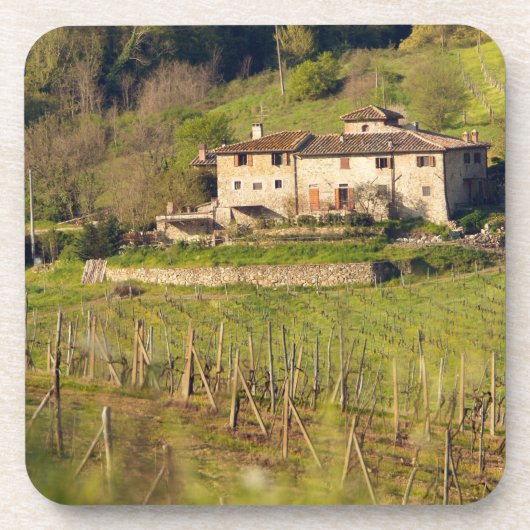 Aschuito, een werkzaam boerderij dat gasten accept drankjes onderzetter (Voorkant)