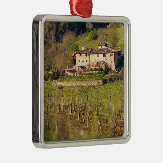 Aschuito, een werkzaam boerderij dat gasten accept metalen ornament (Rechts)