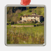 Aschuito, een werkzaam boerderij dat gasten accept metalen ornament (Voorkant)