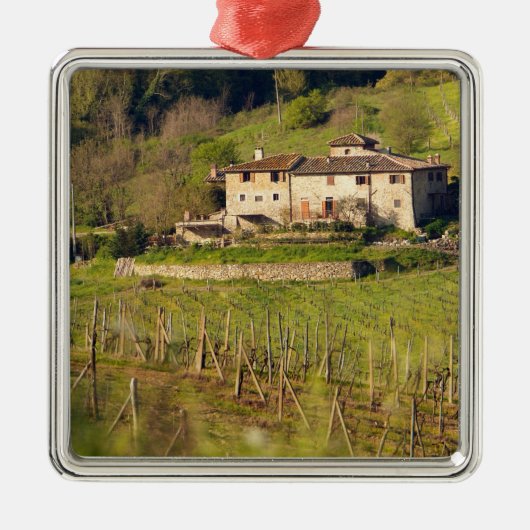 Aschuito, een werkzaam boerderij dat gasten accept metalen ornament (Voorkant)