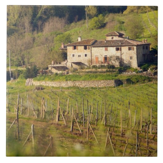 Aschuito, een werkzaam boerderij dat gasten accept tegeltje (Voorkant)
