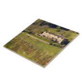 Aschuito, een werkzaam boerderij dat gasten accept tegeltje (Zijkant)