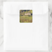 Aschuito, een werkzaam boerderij dat gasten accept vierkante sticker (Tas)