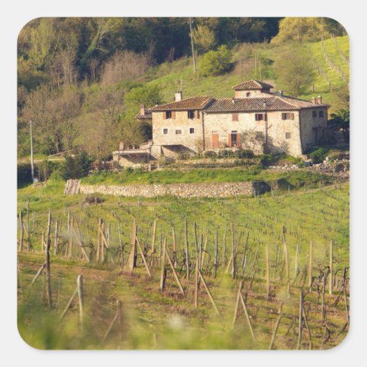 Aschuito, een werkzaam boerderij dat gasten accept vierkante sticker (Voorkant)