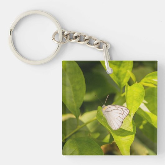 Ascia_02 Sleutelhanger (Voorkant)