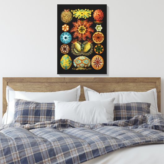 Ascidiacea (Zeeen vierkant), Ernst Haeckel Fine Ar Canvas Afdruk (Insitu (Slaapkamer))