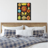 Ascidiacea (Zeeen vierkant), Ernst Haeckel Fine Ar Canvas Afdruk (Insitu (Slaapkamer))