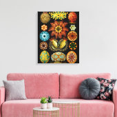 Ascidiacea (Zeeen vierkant), Ernst Haeckel Fine Ar Canvas Afdruk (Insitu (Woonkamer))