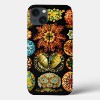 Ascidiacea (Zeeen vierkant), Ernst Haeckel Fine Ar iPhone 13 Hoesje