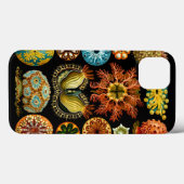 Ascidiacea (Zeeen vierkant), Ernst Haeckel Fine Ar Case-Mate iPhone Case (Achterkant (horizontaal))