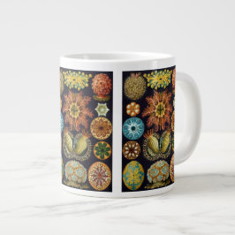 Ascidiae door Ernst Haeckel, Oude Mariene Dieren Grote Koffiekop