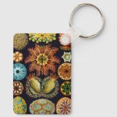 Ascidiae door Ernst Haeckel, Oude Mariene Dieren Sleutelhanger (Achterkant)