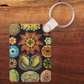 Ascidiae door Ernst Haeckel, Oude Mariene Dieren Sleutelhanger (Achterkant)