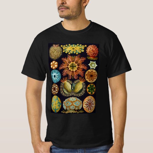 Ascidiae door Ernst Haeckel, Oude Mariene Dieren T-shirt (Voorkant)