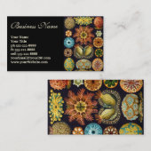 Ascidiae door Ernst Haeckel, Oude Mariene Dieren Visitekaartje (Voorkant / Achterkant)