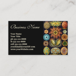 Ascidiae door Ernst Haeckel, Oude Mariene Dieren Visitekaartje