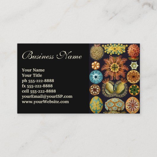 Ascidiae door Ernst Haeckel, Oude Mariene Dieren Visitekaartje (Voorkant)