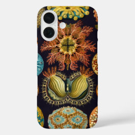 Ascidiae door Ernst Haeckel, Vintage Zee Dieren iPhone 16 Hoesje
