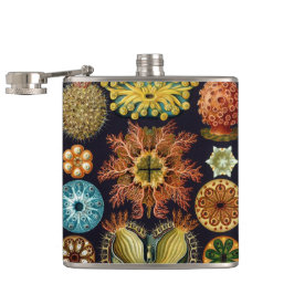 Ascidiae door Ernst Haeckel, Vintage Zee Dieren Heupfles