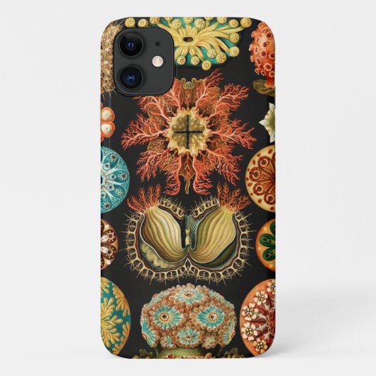 Ascidiae, Seescheiden Mariene Leven door Ernst Hae Case-Mate iPhone Case (Achterkant)