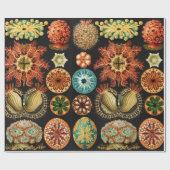 Ascidiae, Seescheiden Marine Life van Ernst Haecke Cadeaupapier (Vlak)